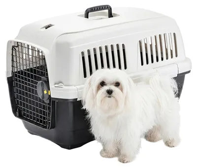 Produktbild von Ferplast Transportbox Mittlerer Hund Flugzeug Zugelassen IATA Max 15Kg