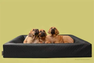 Produktbild von Bia Bed Hondenmand Original Square Zwart