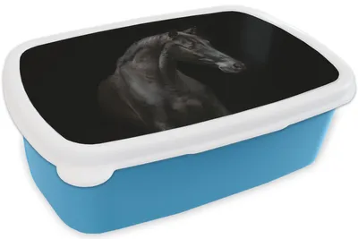 Produktbild von KitchenYeah® Lunchbox Brotzeit Brotdose 17x11 cm Pferd - Tiere - Schwarz - Porträt Kinder Brotzeitdose - Lunch - Kunststoff  - Brotbüchse - Sandwichbox - Lunchbox für Kinder
