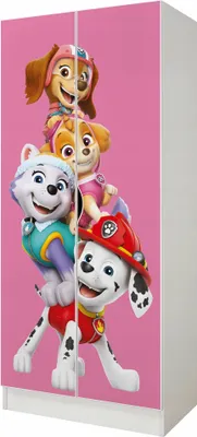 Produktbild von Kinderschrank 70cm breit mit Paw Patrol Charaktere Marshall Everest Skye Zuma Mehrzweckschrank für Kinderzimmer Schrank für Kinder 70cmx162cmx43cm