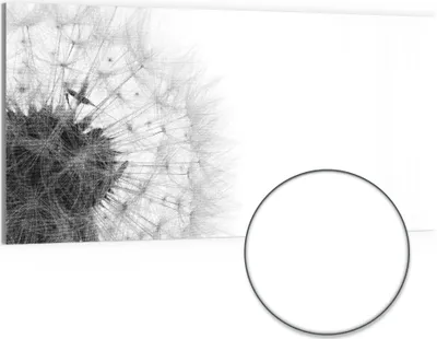 Produktbild von DEQORI Hybrid Leinwand Bild 100x50 cm 'Flüchtige Schönheit' Wandbild Glas flach modern