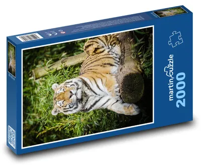 Zdjęcie produktu dla Puzzle 2000 Tygrys na wolności - martinpuzzle