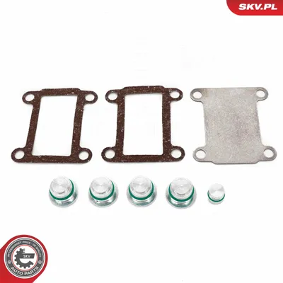 Produktbild von ESEN SKV Reparatursatz, Ansaugkrümmermodul 49SKV525