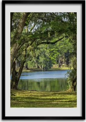 Produktbild von Bild - Bilderrahmen - Foto - 70 cm x 100 cm - MDF - Rahmen - Wandkunst - See im Park