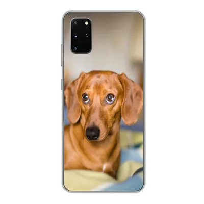 Produktbild von MuchoWow® Handyhülle Schutzhülle Hülle für Samsung Galaxy S20 Plus Dackel liegend auf einem Bett Silikon Softcase Handy Hülle - Hartschale
