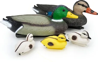 A set of plastic duck decoys, including adult mallards and ducklings, arranged on a white background.