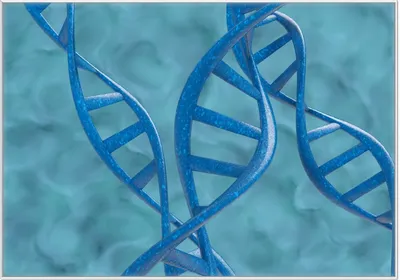 Produktbild von Wallario Wandbild DNA-Strang in blau auf türkisem Hintergrund, Größe: 70,30 x 100,30 cm, Poster mit weißem Kunststoffrahmen