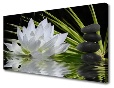 Produktbild von Tulup Leinwand-Bilder 100x50 Wandbild Canvas Kunstdruck Blume Steine Wasser Pflanzen