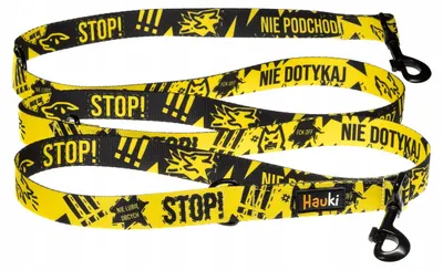 Produktbild von Hauki Verstellbare Gurtband Hundeleine 250cm