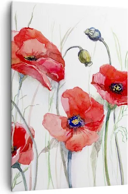 Produktbild von Bild auf Leinwand - Leinwandbild - Einteilig - Blume Mohn Wiese - 70x100cm - Wand Bild - Wanddeko - Wandbilder - Leinwanddruck - Wanddekoration - Leinwand bilder - Wandbild - PA70x100-3584