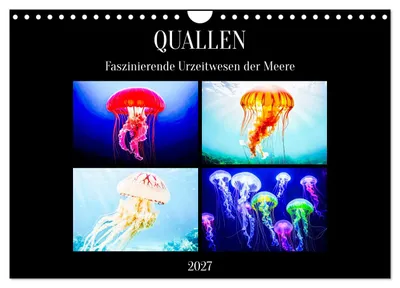 Produktbild von Quallen - Faszinierende Urzeitwesen der Meere (Wandkalender 2027 DIN A4 quer), CALVENDO Monatskalender