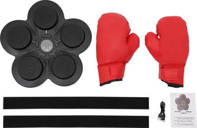 Obrázek produktu pro Hudební boxovací trenažér, připojení Bluetooth, nastavitelné rychlosti, černý