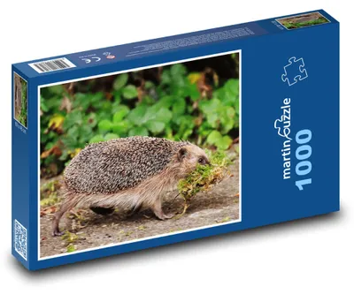 Obrázok produktu pre Puzzle 1000 Ježko v lese - martinpuzzle