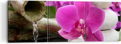 Produktbild von Bild auf Leinwand - Leinwandbild - Orchidee Bambus Dekoration Spa - 120x40cm - Wand Bild - Wanddeko - Leinwanddruck - Bilder - Kunstdruck - Wanddekoration - Leinwand bilder - Wandkunst - CA120x40-2666