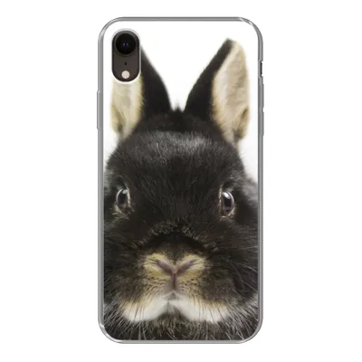 Produktbild von MuchoWow® Handyhülle Schutzhülle Hülle für iPhone XR Kaninchen - Haustiere - Fell Silikon Softcase Handy Hülle - Schutzdeckel