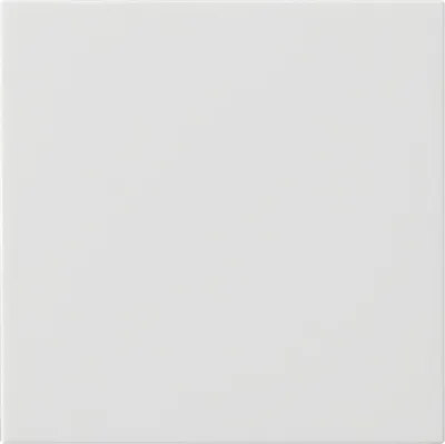 Image de Gira 537203 Bascule simple non imprimée Système 55 blanc pur