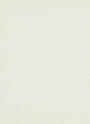 Produktbild von Erismann Tapete | Kollektion Myself | 686201 | Vliestapete | Uni | Einfarbig | 0.53 x 10.05 m | Weiß Glitzer | Wohnzimmer | Flur | Büro | Küche | Wohnräume
