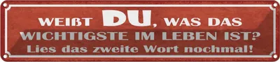 Produktbild von vianmo Blechschild 10x46 cm weißt du was wichtigste im Leben Spruch Zitat
