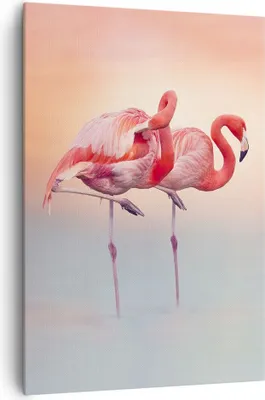 Produktbild von Bild auf Leinwand - Leinwandbild - Einteilig - Flamingos Exotik Vögel - 70x100cm - Wand Bild - Wanddeko - Wandbilder - Leinwanddruck - Wanddekoration - Leinwand bilder - Wandbild - PA70x100-5044