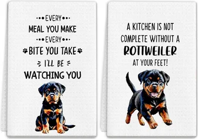 Produktbild von INF 2er-Pack Mikrofasertücher für Haustiere – Saugfähige Hundehandtücher 45x66cm