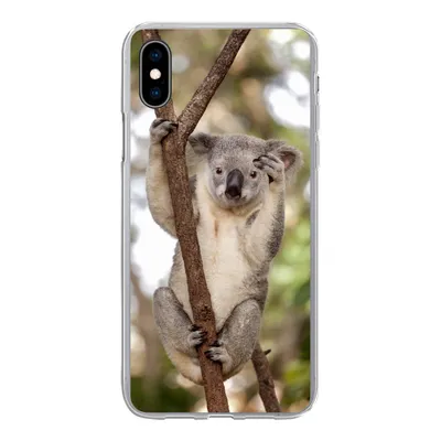 Produktbild von MuchoWow® Handyhülle Schutzhülle Hülle für iPhone Xs Koala - Äste - Tier - Kinder - Jungen - Mädchen Silikon Softcase Handy Hülle - Handytasche