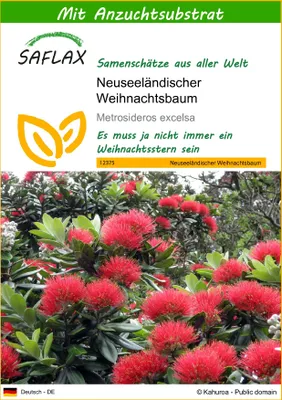 Produktbild von SAFLAX - Neuseeländischer Weihnachtsbaum - 300 Samen - Mit keimfreiem Anzuchtsubstrat - Metrosideros excelsa