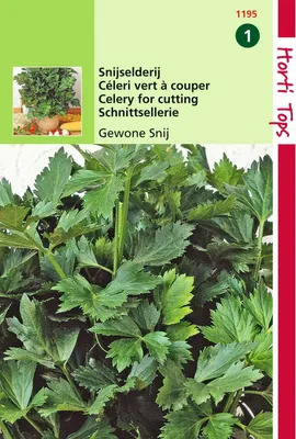 Produktbild von Schnittsellerie Gewöhnlicher | Stangenselleriesamen von Hortitops