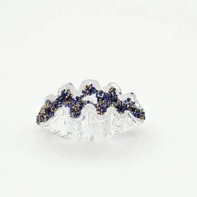 Imagen del producto de Swarovski SCS:LOYALTY GIFT 2025 SCS Treuegeschenk 2025 Muschel Neuheit 2025 5701499