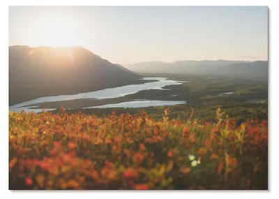 Produktbild von POSTER - 29x21 cm (A4) - TrueArt - Blumen, Berge, Fluss, Sonnenuntergang, friedliche Atmosphäre -  Wandbild für Wohnzimmer Schlafzimmer & Flur, Modernes Poster Wanddeko, Ungerahmt