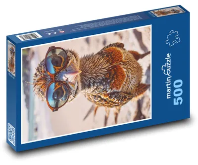 Zdjęcie produktu dla Puzzle 500 Ptak w okularach - martinpuzzle