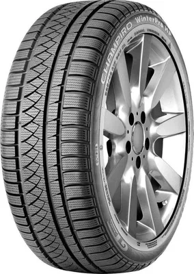 Produktbild von GT Radial Wi car-tyres CHAMPIRO WINTERPRO HP ( 245/45 R17 99V XL, mit Felgenschutz (MFS) )