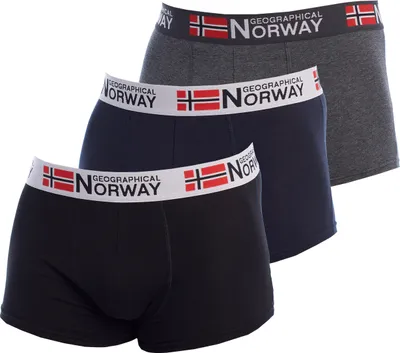 Produktbild von Pack-3 Boxershorts Geographical Norway GN1000 Mann