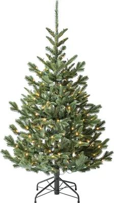 Image de Evergreen Nobilis S+ sapin de Noël artificiel avec éclairage 150 cm