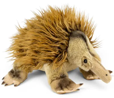Produktbild von Carl Dick Ameisenigel, Echidna ca. 24cm Plüschtier, Stofftier, Kuscheltier 3799