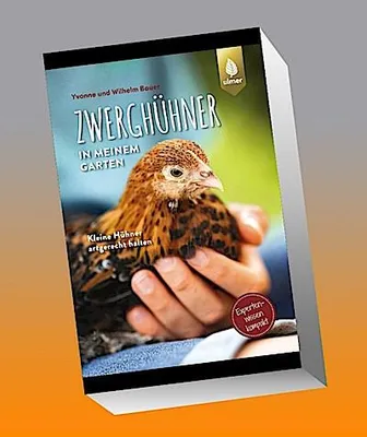 Immagine prodotto di Zwerghühner in meinem Garten