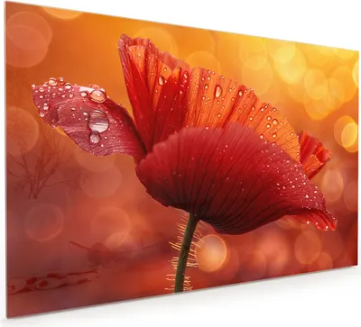 Produktbild von Küchenrückwand Spritzschutz Glas mit Motiv Roter Blütentropfen 40 x 40 cm