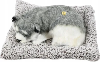 Image de chien sur oreiller 25cm figurine décorative