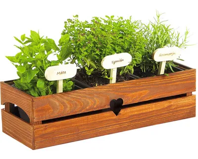 Obrázek produktu pro Truhlík dřevěný BYLINKÁČ 50 x 19 x 15 cm teak