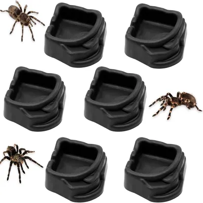 Produktbild von Mini-Wasserspender für Insekten – Set mit 6 Stück – Schwarz