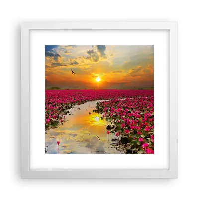 Produktbild von Gerahmtes Poster - Weißer Rahmen - See Blumen - 30x30 cm - Wand Bild - Wanddeko - Wandbilder - Kunstposter - Wandposter - Bilderrahmen - Bilder - Kunstdruck - Wandbild - P2WAC30x30-3769