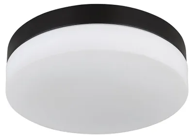Produktbild von Deckenleuchte, Außenleuchte, 2 Flammig, Alu, Glas, D 24 cm