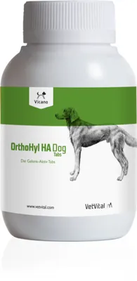 Produktbild von VetVital Vicano OrthoHyl HA Dog 100 Tabletten