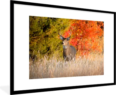 Produktbild von MuchoWow® MuchoWow® Gerahmtes Poster Hirsche - Geweihe - Wald 90x60 cm - Poster mit zchwarzem Bilderrahmen - Wanddekoration - Fotos