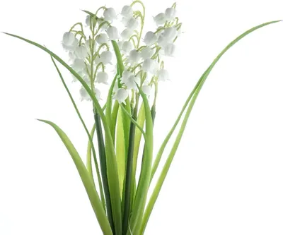 Produktbild von GASPER Maiglöckchensträußchen 30 cm - Kunstblumen