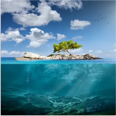 Produktbild von MuchoWow® Poster Meer - Baum - Insel 75x75 cm - Wand Dekoration