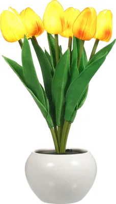 Produktbild von Tulip Lamp Indoor Dekorative Tischlampe Blumentopflampe Ambient Nachtlicht Geschenk Topfpflanze