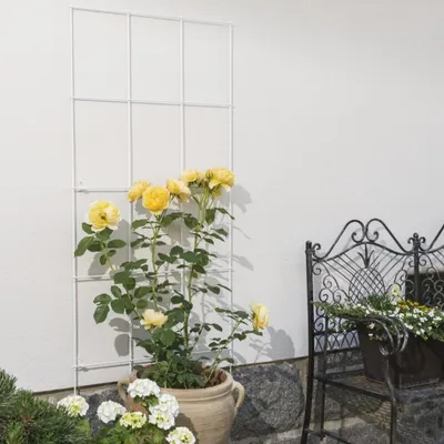 Produktbild von Gitterspalier aus Metall 60x150cm, weiß