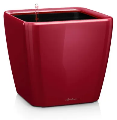 Immagine prodotto di Fioriera LECHUZA QUADRO Premium LS 21 Rosso scarlatto lucido | fioriera con sistema di irrigazione | superficie lucida|22,5 x 22,5 x 20,5 cm| 16127
