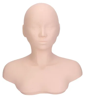 Immagine prodotto di Testa di manichino per esercitazioni, versatile, morbida e confortevole, con spalla per massaggi