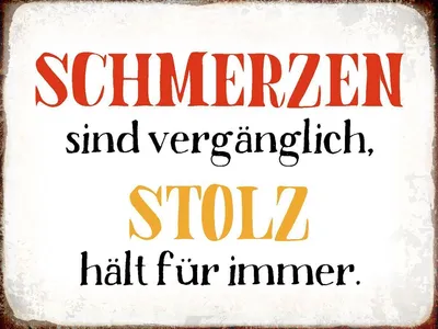 Produktbild von vianmo Holzschild 30x40 cm Schmerzen Solz hält für immer